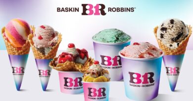 baskin-robbins-permanent-ice-cream-flavors-a-sweet-symphony-of-tastes